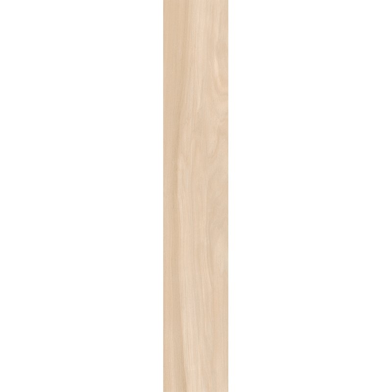 AM02