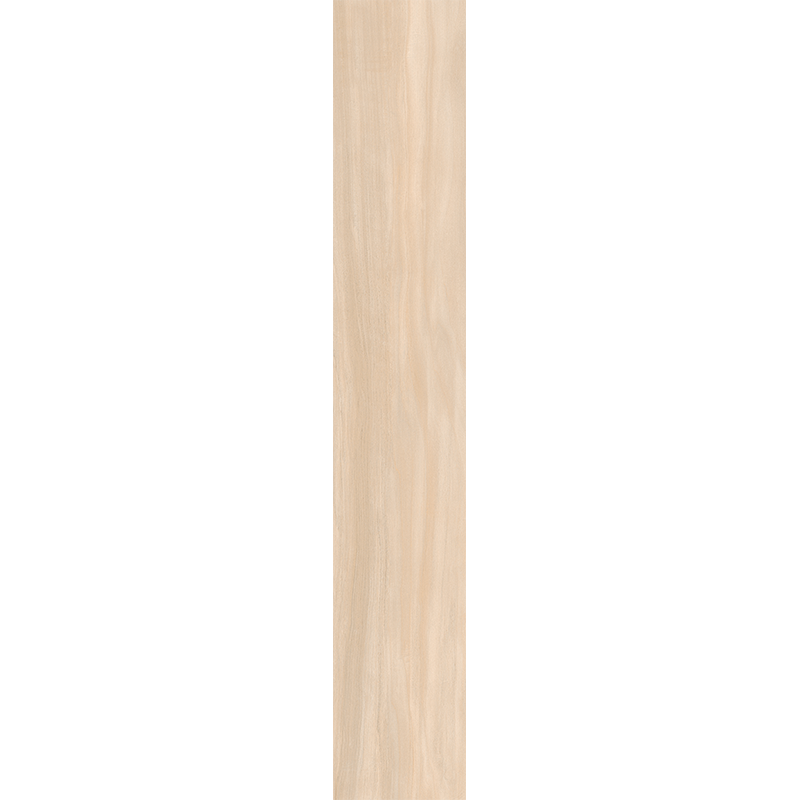 AM02