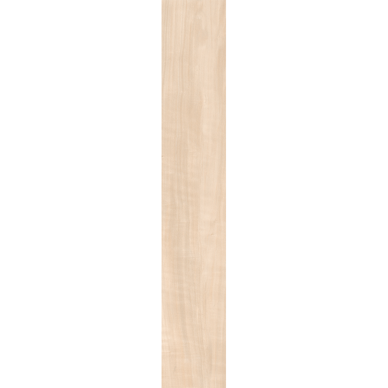AM02