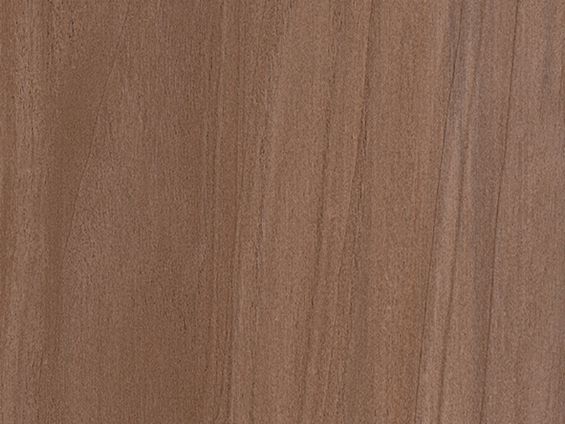 AM05
