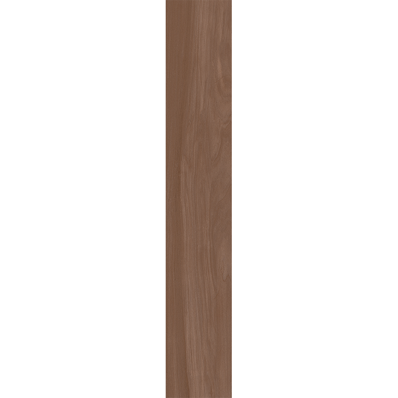 AM05
