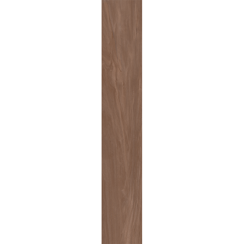 AM05