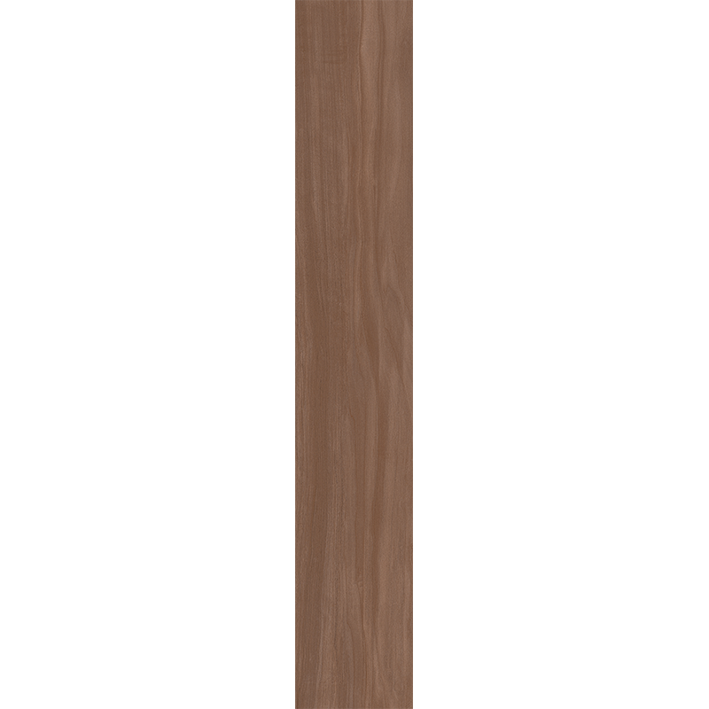 AM05