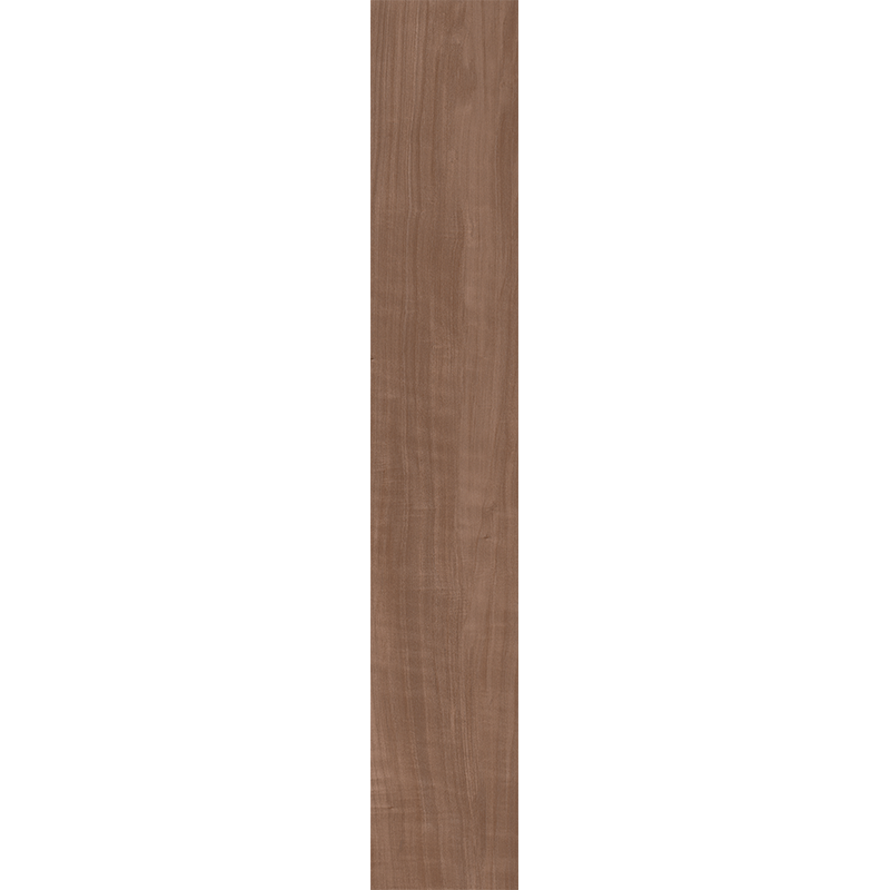 AM05
