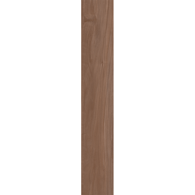 AM05